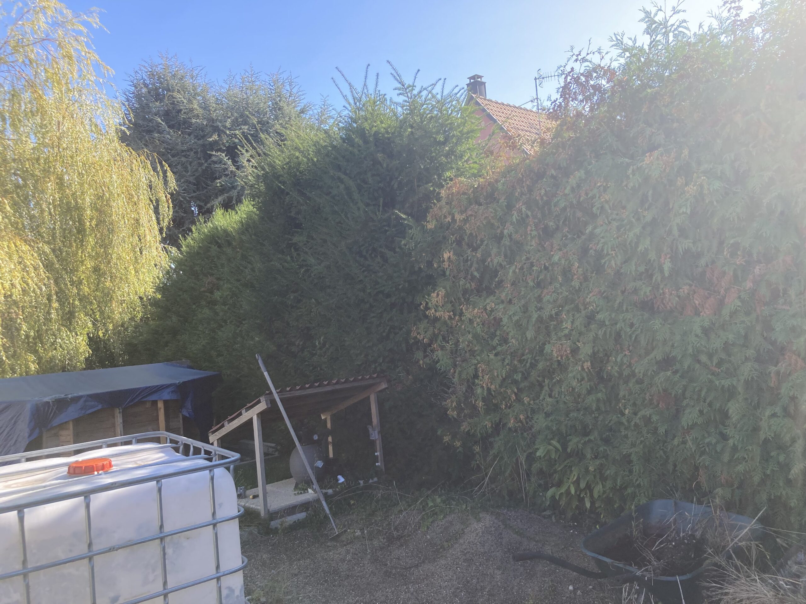 Enlèvement d’une haie sur Ruelisheim